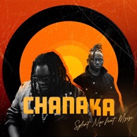 Chanaka (feat. Mzizi) - Single - Sylent Nqo