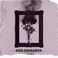 Seis Disparos (feat. mc funkmasterflex, Sonick Soto & Mr Crober) - Single - Muchaxo Lepero