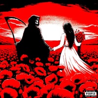 Money Can't Buy Happiness But It Can Fund Substance Abuse (feat. R!Plifeless) - Single - Ouijaboy