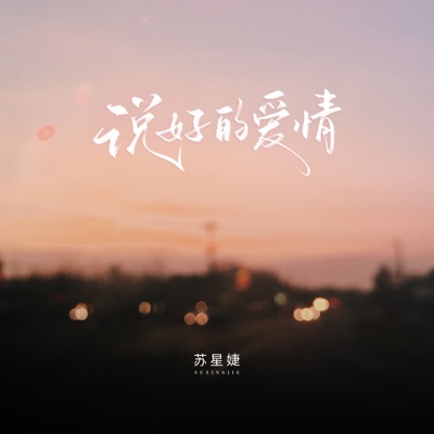 说好的爱情 - Single