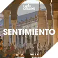 Sentimiento