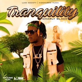 Tranquility Charly Black & Luigi Society