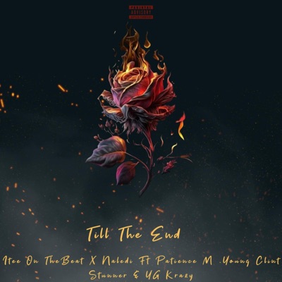 Till The End (feat. Naledi, Patience M, Young Clint Stunner & YG Krazy) - Single