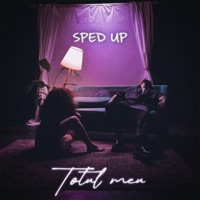 Totul meu (Sped Up) - Single - Fstr & Adi Istrate