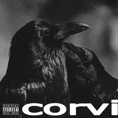 CORVI - Single