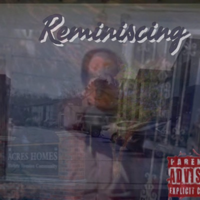 Reminiscing - Single