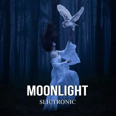 Listen to Moonlight - Single by Slictronic