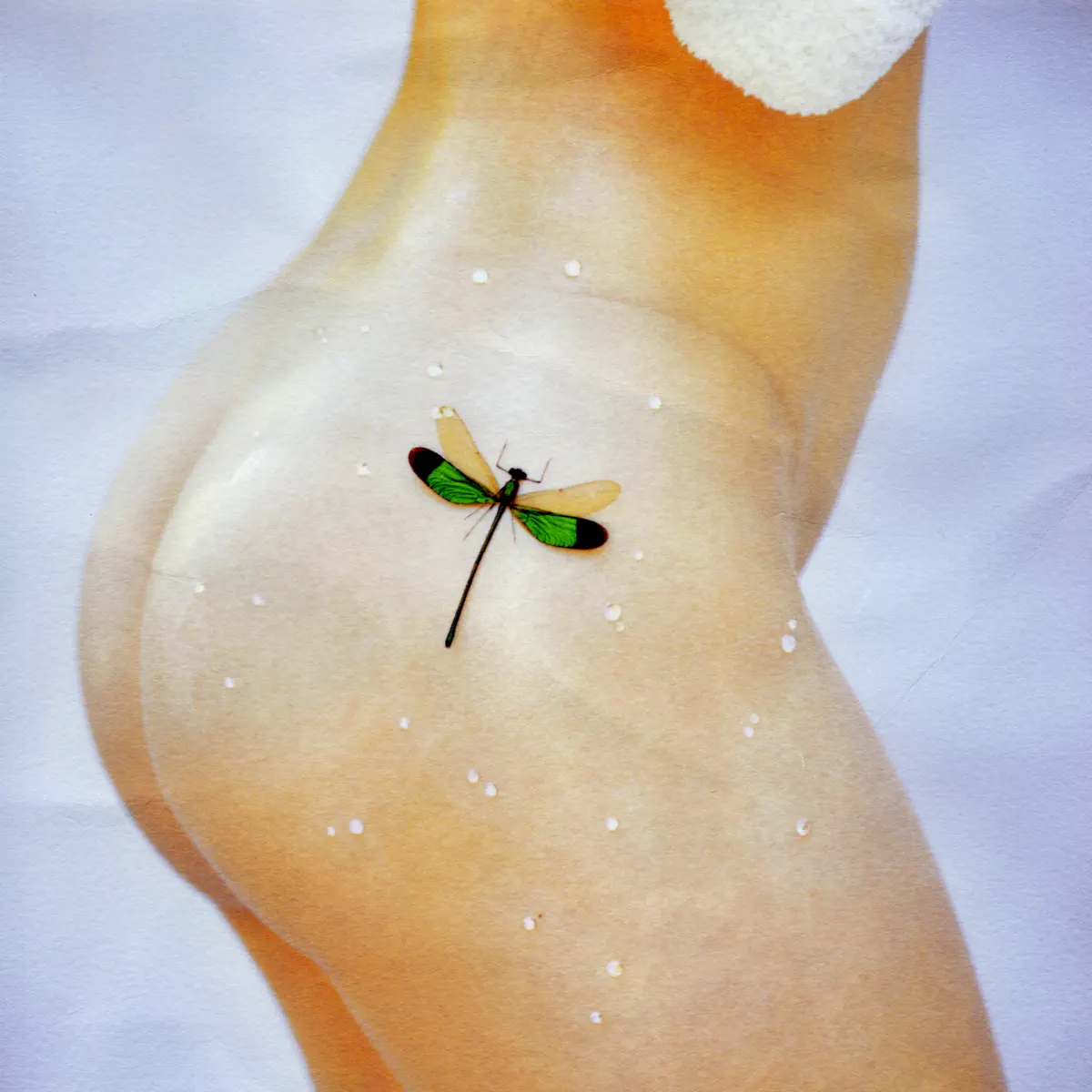 Kacy Hill - BUG (2024) [iTunes Plus AAC M4A]-新房子