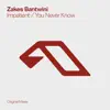 Zakes Bantwini & Jordan Arts - You Never Know