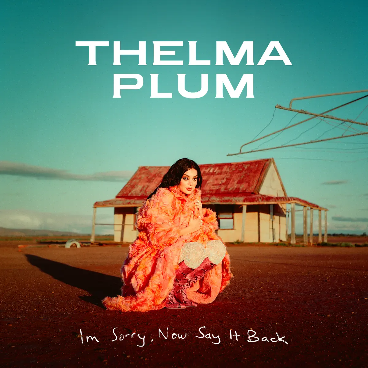 Thelma Plum - I’m Sorry, Now Say It Back (2024) [iTunes Plus AAC M4A]-新房子