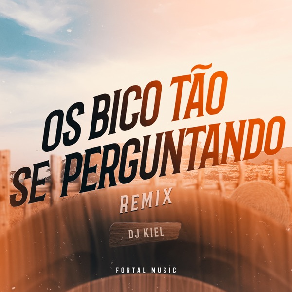 Os Bico Tão Se Perguntando (feat. MC PH) [Remix]