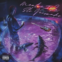 Mentre Io La Sto Versando - Single - DNA