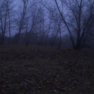 problems overflow (feat. Lil S4int) - Single