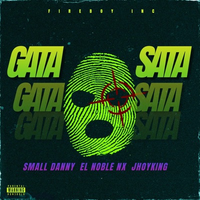 Gata Sata (feat. El Noble Nx & JhoyKing) - Single