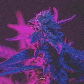 Purple Rain (feat. Sound Monga & Sire Troy) Samurai_thelaatswordmaster