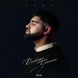 Дайте мне уйти Arma