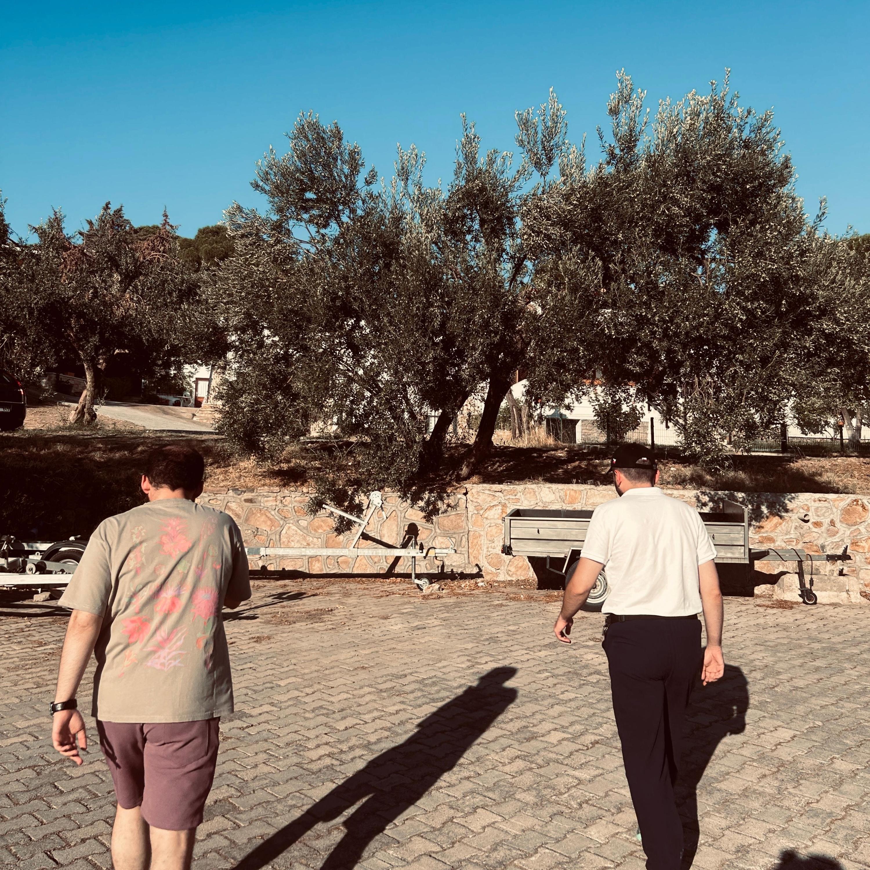 summer time - Single