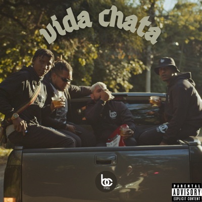 Vida Chata - Single