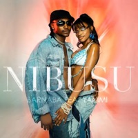 Nibusu (feat. Yammi) - Single - Barnaba