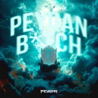 PEYGAN BITCH (Extended mix) - Single - PEYGAN
