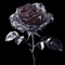 STFUATTDLAGG - Ruby Darkrose lyrics