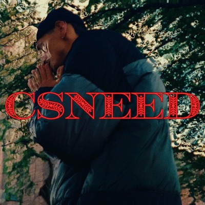 CSNEED - Single
