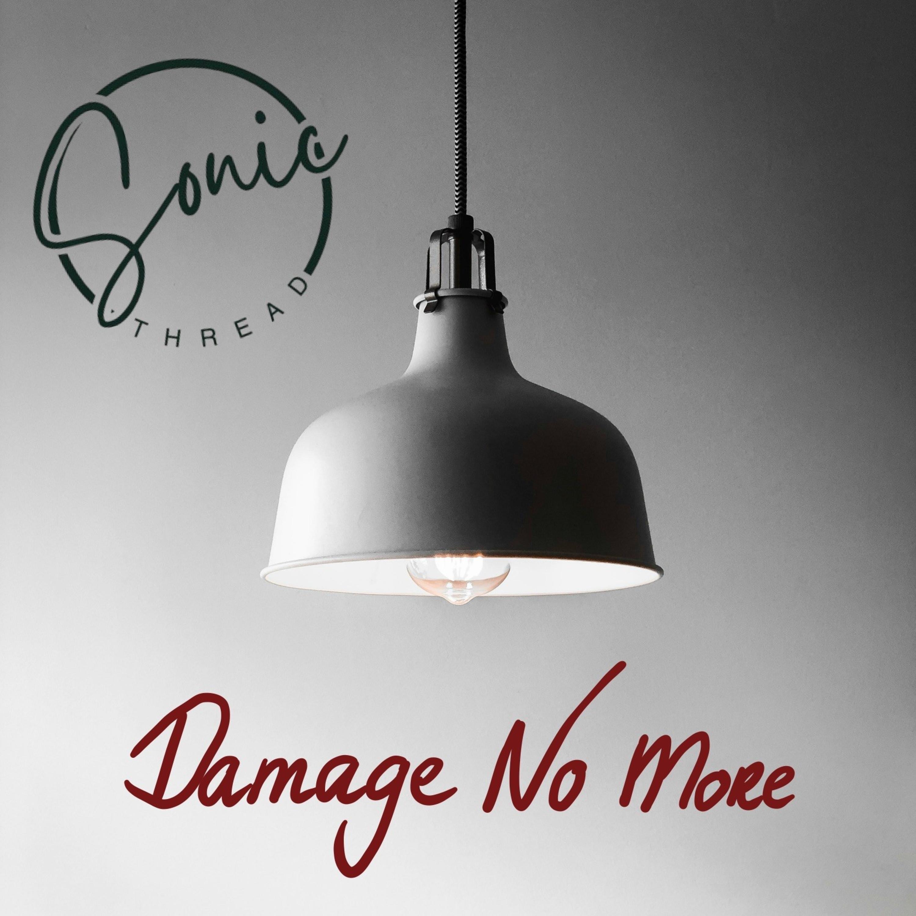 Damage no more - Single