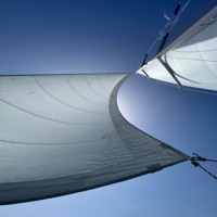 Haven (feat. Domoto) - Single - Hot Uncle T