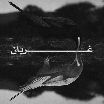 غربان - Single