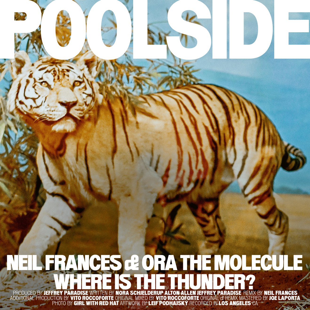 Poolside & Ora the Molecule – Where Is the Thunder? (NEIL FRANCES Remix) – Single (2024) [iTunes Match M4A]