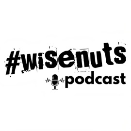 Wired Up (WiseNuts Podcast Theme Song) Hayk Keys