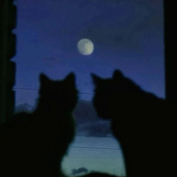 durch die nacht