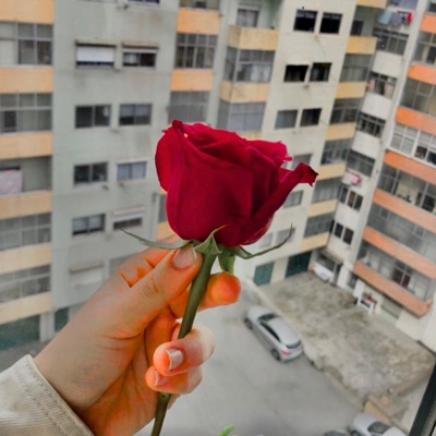 Palavras P'ra Que? - Single