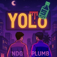 YOLO (feat. NDG) - Single - Plumb