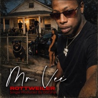 Rottweiler - Single - Mr.Vee