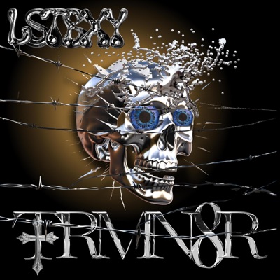 TRMN8R - Single