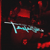Tanajura (feat. Mc Lipeê) - Single - MC Harry & L12