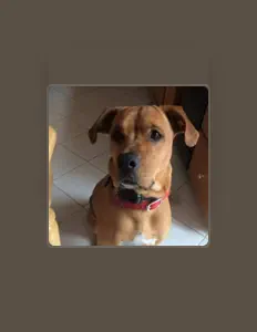 Hör dir SirGregule an, schau dir Musikvideos an, lies die Biografie, finde Tourdaten und mehr!