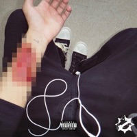 GLE or Vette - Single - witted