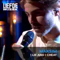 I lie   and i   cheat