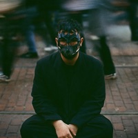 Never will be - Single - Arctic Paws