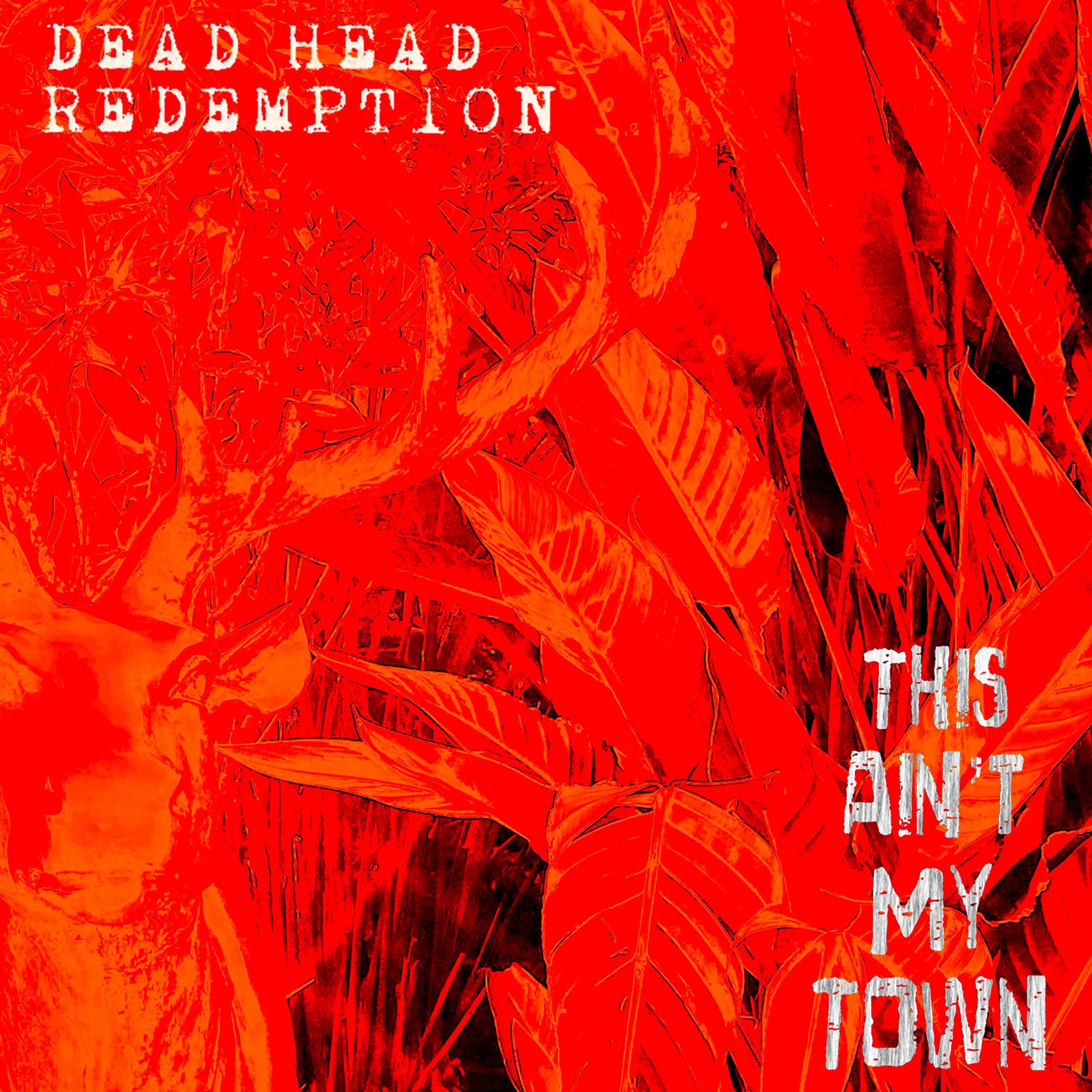 This Ain't My Town - Single