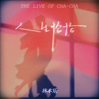 人生恰恰 - Single - 林木乐