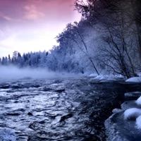 Cold World - Single - TRipple J