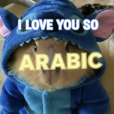 i love you so (arabic)