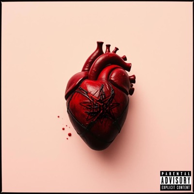 NEVER LET YOU DOWN - Single