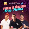 Pau e Água / Brisa Maluca (feat. Dj Renan) - Single