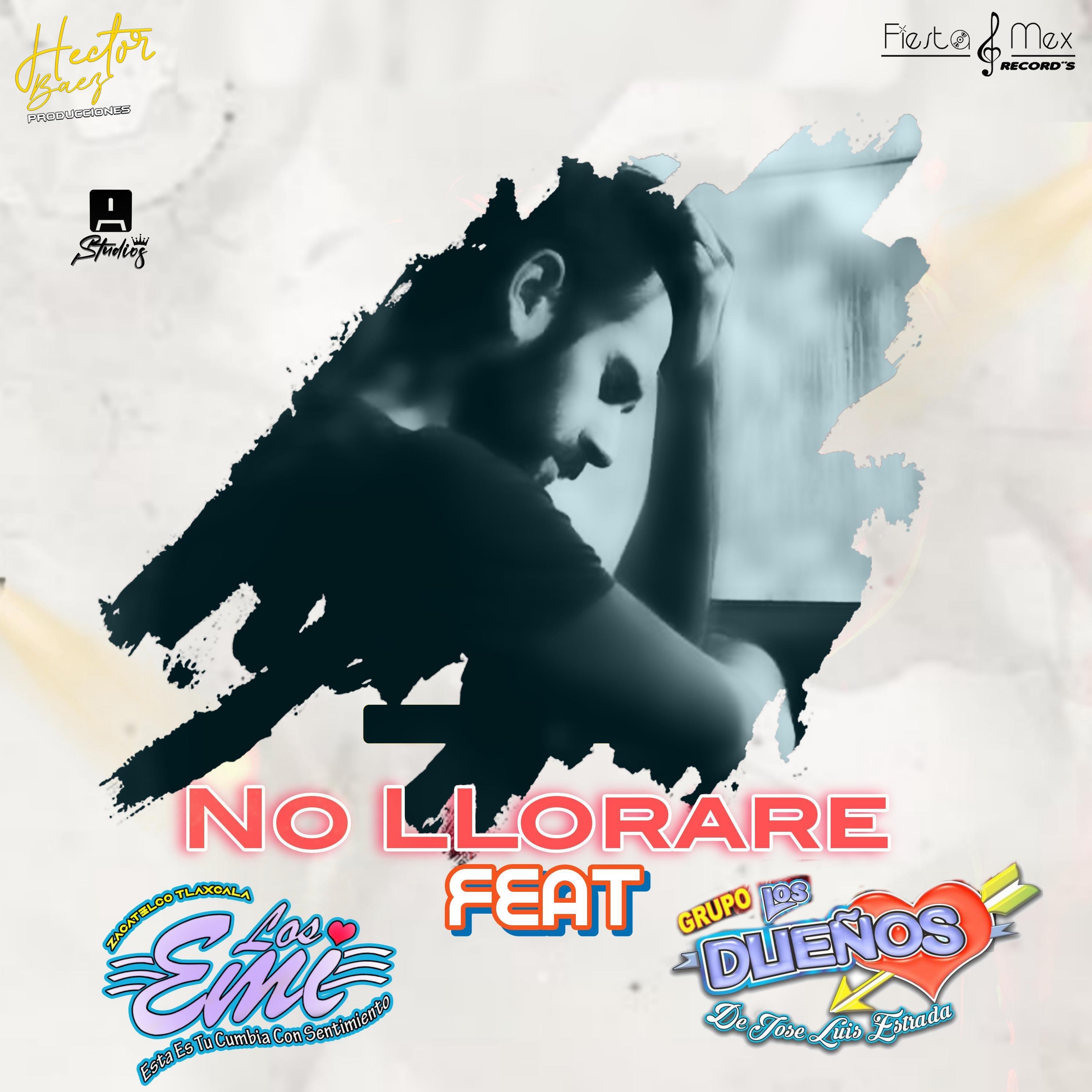 No LLorare (feat. El Internacional Grupo Los Dueños De José Luis Estrada) - Single