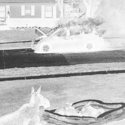 HORNTHOLOGY - Single