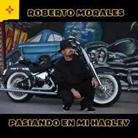 Me Salio Maestra — Roberto Morales